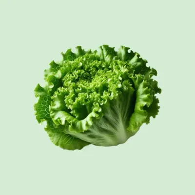 Fresh Iceberg Lettuce, Farm Picked